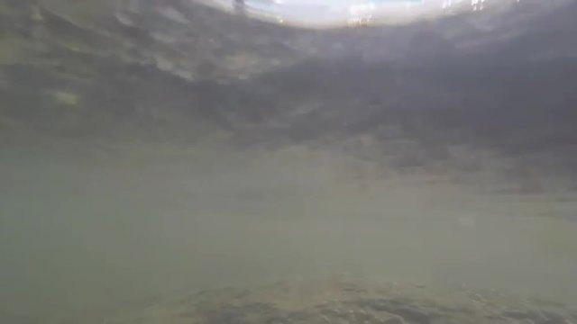 lago