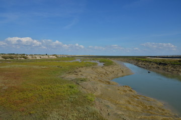 Sumpflandschaft La Couarde sur Mer