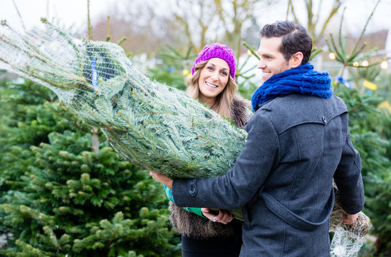 Paar tr&auml;gt gekauften Christbaum vom Markt