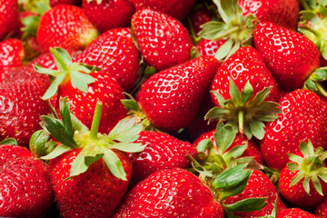 red strawberries
