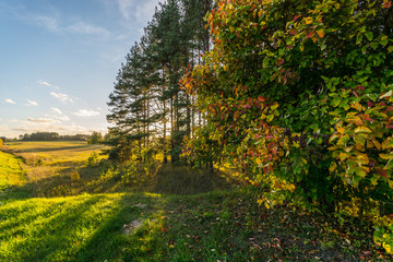 Autumn landscape with road and beautiful colored trees