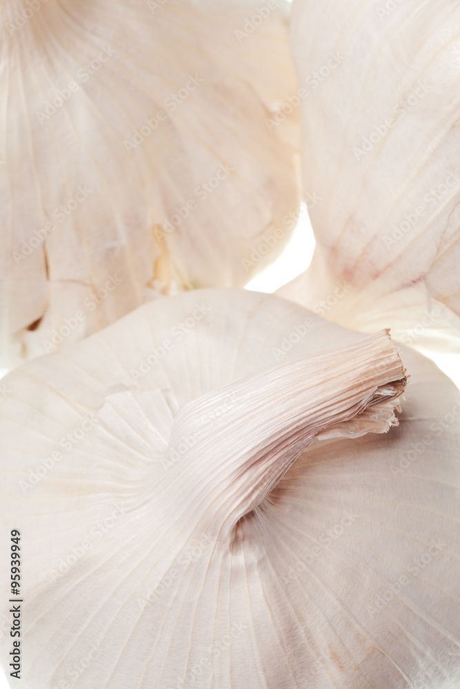 Poster garlic isolated