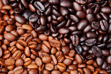 coffee bean background