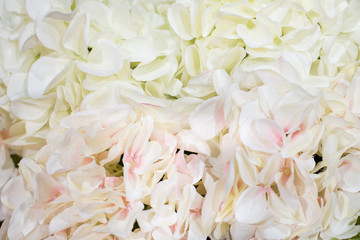 White Paper Flower Background