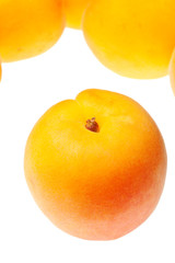 apricot isolated