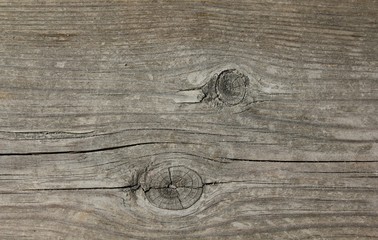 wood background