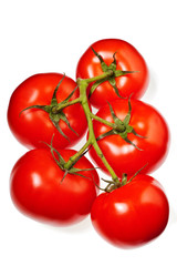 tomatoes isolated on a  white background with drop shadow