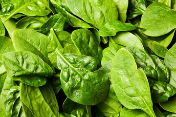 Fototapeta na wymiar fresh spinach