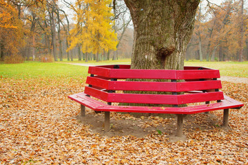 Unusual bench
