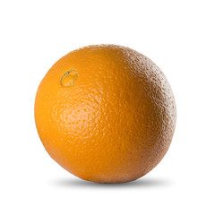 Fresh Orange On White Background