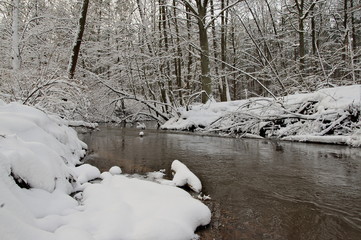 Rzeka zimą. © boguslavus