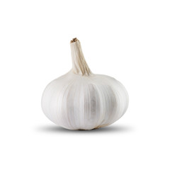 Fresh Garlic On White Background