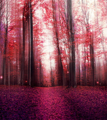 Fototapety  Czerwony Magiczny Mglisty Las z Tajemniczymi Światłami