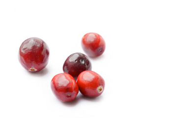 Fresh Cranberries - white background