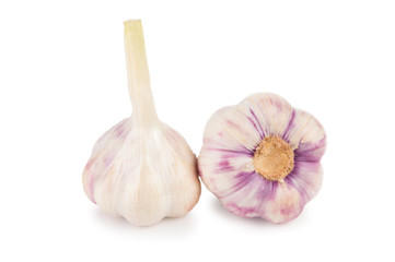 Garlic set isolated on white background