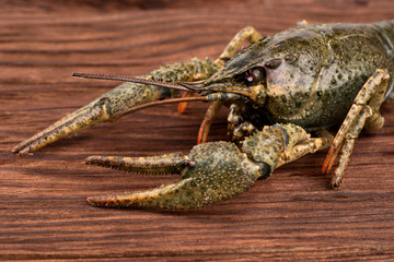 Raw crayfish