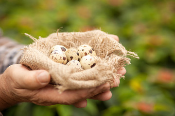 Look at this beautiful gift from the nature