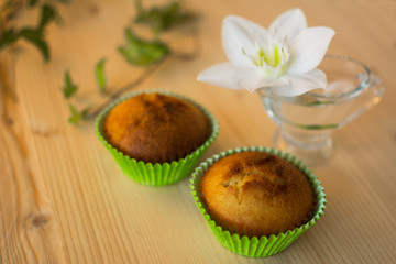 Muffins in the green paper cupcake holder, white flower in the glass and leaves horizontal, selective focus