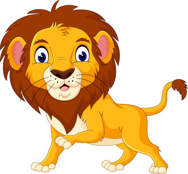 Cute lion cartoon of illustration
