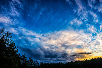Fototapeta premium amazing sunrise sky against dark tree line