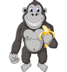 Funny gorilla cartoon of illustration   © hermandesign2015