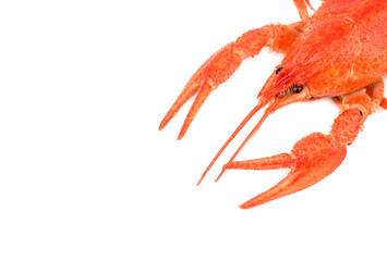 Boiled crawfish