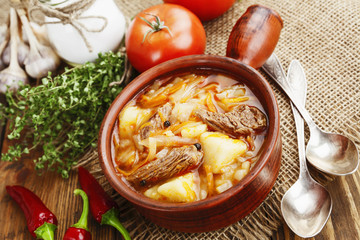 Soup with cabbage and meat