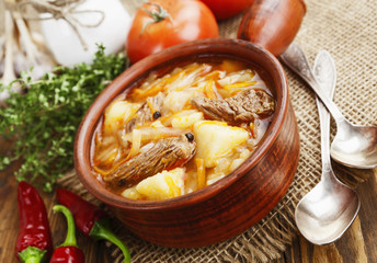 Soup with cabbage and meat