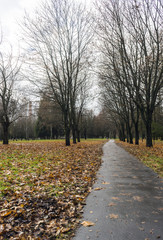 Fototapeta na wymiar footpath in autumn park