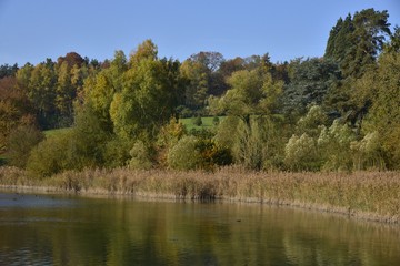 Fototapeta na wymiar La nature en automne ,le long des berges de l'étang du Gris Moulin à la Hulpe