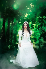Fototapeta premium Wedding. Young beautiful bride with hairstyle and makeup posing in white dress