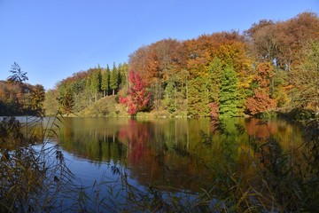 La beauté magique des couleurs automnales à l'étang de la Longue Queue au parc Solvay de la Hulpe