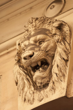 old sculpture at rome, lion