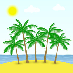 palm trees on the beach