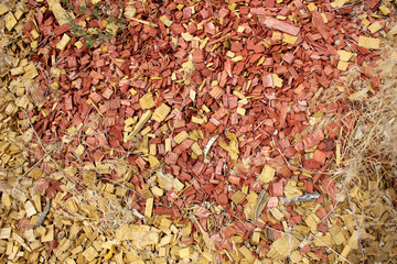 Painted wood shaving