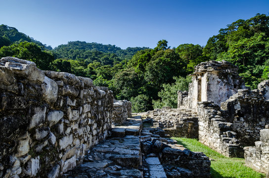Palenque ruins in Mexico
