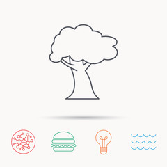 Oak tree icon. Forest wood sign.