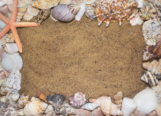 Frame of different seashells and starfish