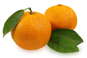 tangerines with leaves