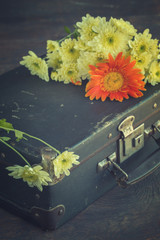 Old suitcase with autumn colors.Toned image. Vintage style. selective focus.
