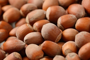 Hazelnuts