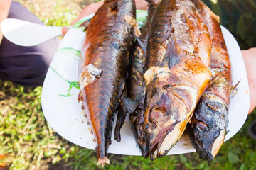 Cooked hot smoked fresh fish