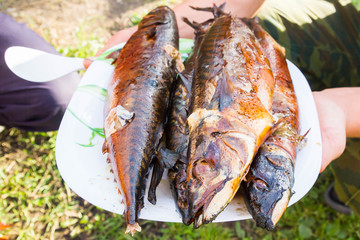 Cooked hot smoked fresh fish