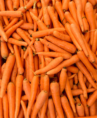 carrot background
