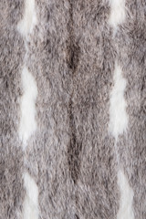 Close up of synthetic grey fur texture