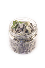 Dried mint in a glass box isolated