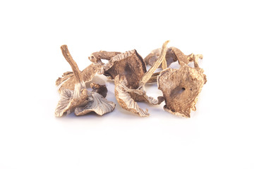 Dry yellowfoot isolated