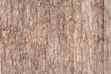 Obraz premium Weathered wood background