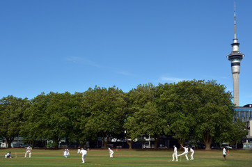 Men play Cricket in Victoria park Auckland, New Zealand