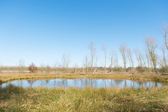 Little Fen In Holland